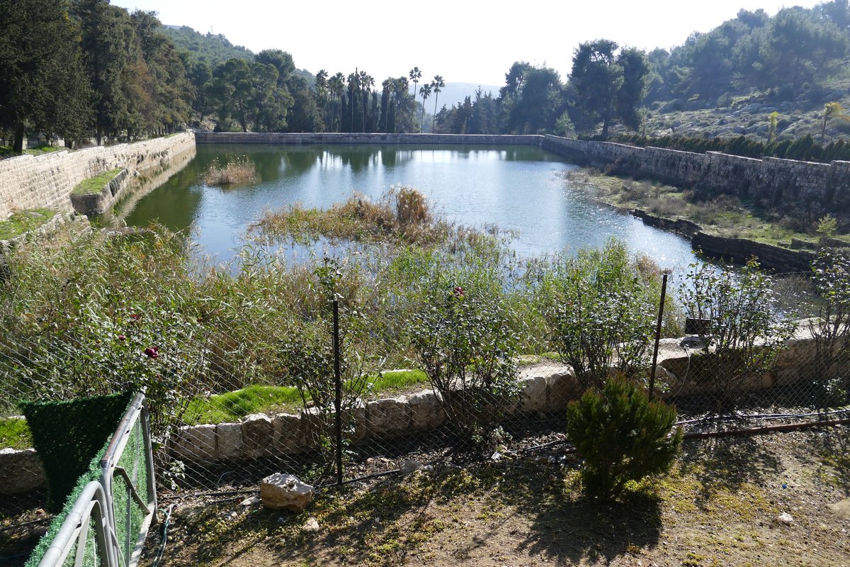 בריכות שלמה